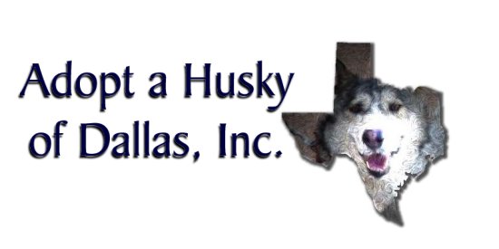 Help a Husky