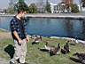 4josh_feedgeese2.jpg
